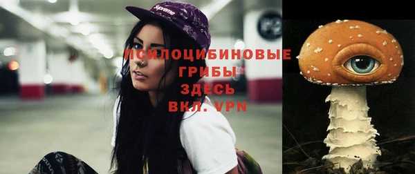 винт Заволжск
